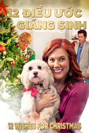 12 Điều Ước Giáng Sinh 12 Wishes For Christmas