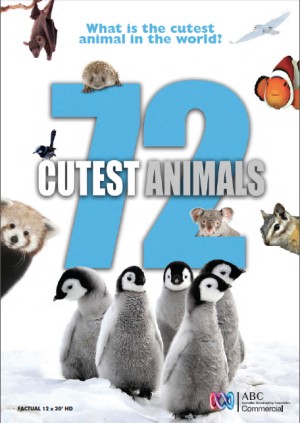 72 loài động vật dễ thương nhất 72 Cutest Animals