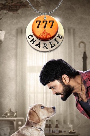 Chú Chó Charlie 777 Charlie