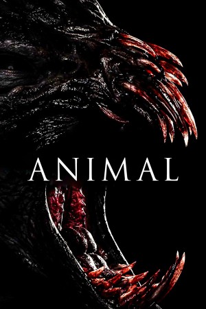 Animal Animal