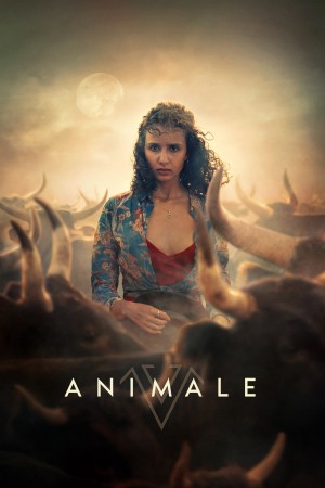 Animale Animale