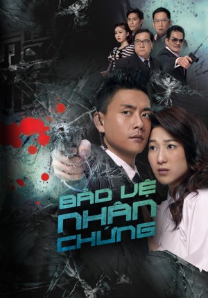 Bảo Vệ Nhân Chứng Witness Insecurity 