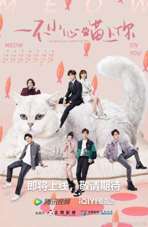 Bất Cẩn Meow Phải Anh Accidentally Meow On You