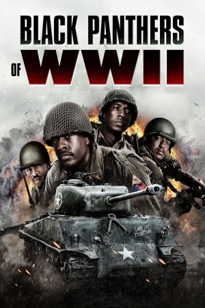 Black Panthers of WWII Black Panthers of WWII