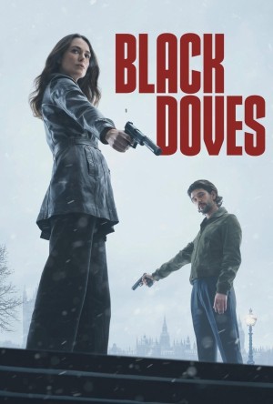 Bồ câu đen Black Doves