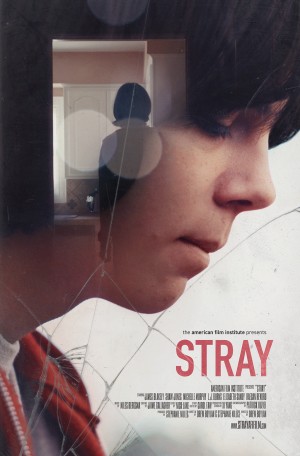 Bỏ Rơi Stray