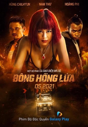 Bông Hồng Lửa A Phoenix From The Ashes