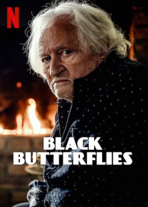 Bươm bướm đen Black Butterflies