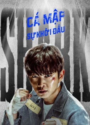 Cá Mập: Sự Khởi Đầu Shark: The Beginning