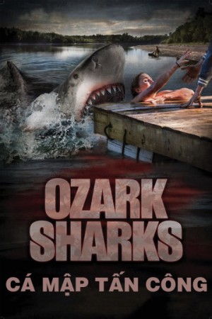 Cá Mập Tấn Công Summer Shark Attack