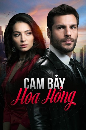 Cạm Bẫy Hoa Hồng New Life