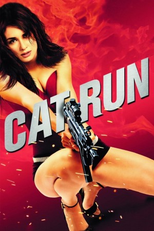 Cat Run  Cat Run