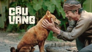Cậu Vàng The Old Man's Dog