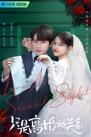 Chỉ Là Quan Hệ Ly Hôn Crush on My Ex-Husband