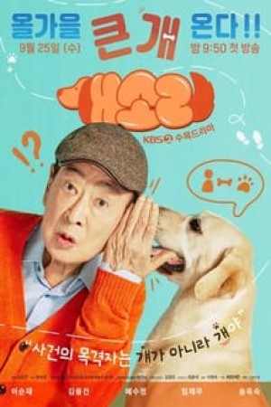 Chú Chó Biết Tuốt Dog Knows Everything