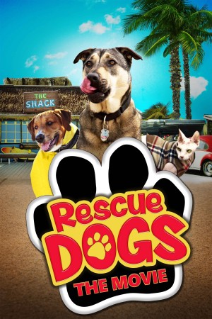 Chú Chó Cứu Hộ Rescue Dogs