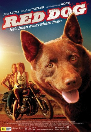 Chú Chó Đỏ Red Dog