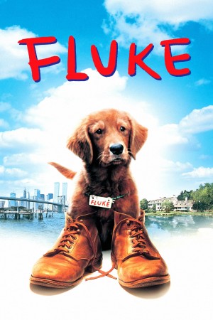 Chú Chó Fluke Fluke