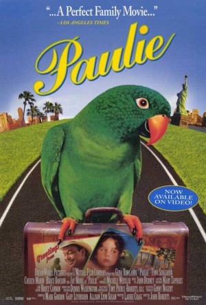 Chú Vẹt Paulie Paulie