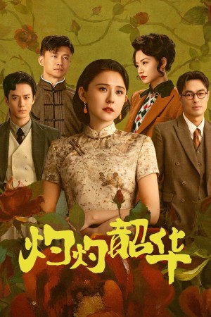Chước Chước Thiều Hoa Wild Ambition Bloom