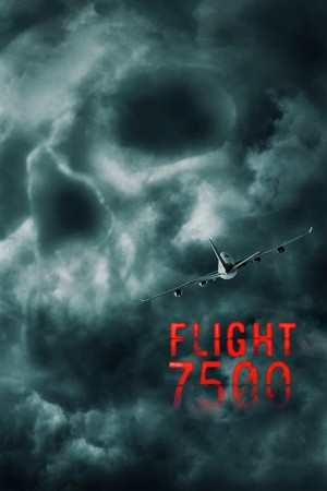 Chuyến Bay VP7500 Flight 7500
