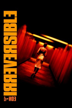 Chuyện Đã Rồi Irréversible
