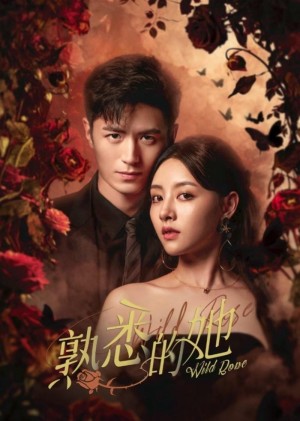 Cô Gái Thân Quen Wild Rose