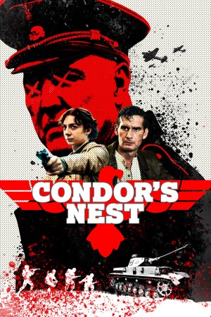 Condor's Nest Condor's Nest