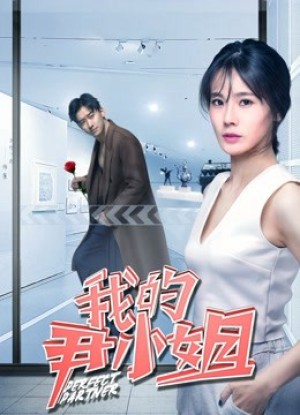 Cộng sự hoàn hảo Perfect Partner