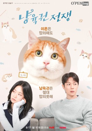 Cuộc Chiến Giành Quyền Nuôi Mèo Cat Custody War