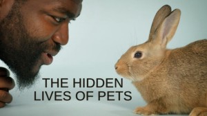 Cuộc sống bí mật của thú cưng The Hidden Lives of Pets