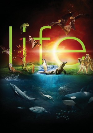 Cuộc Sống Hoang Dã BBC: Life