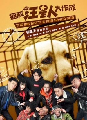 Cứu chó Save Dogs