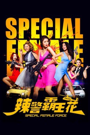 Đặc Nhiệm Mỹ Nhân Special Female Force