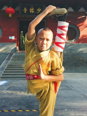 Đại Náo Thiếu Lâm Tự The Shaolin Temple Boy