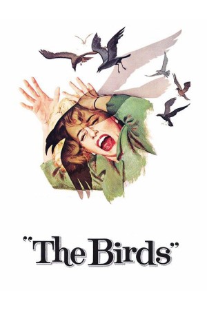 Đàn Chim Dữ The Birds