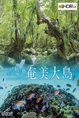 Đảo Amami Oshima Amami Ashima Island