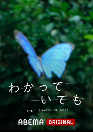 DẪU BIẾT DÁNG HÌNH TÌNH YÊU The Shapes of Love