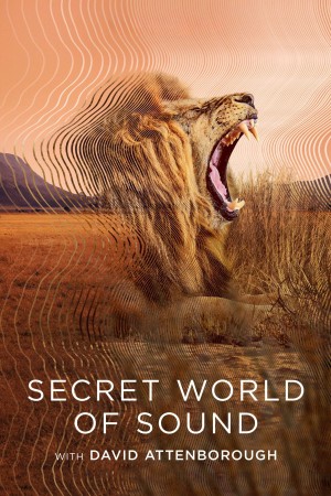 David Attenborough: Thế giới bí mật của âm thanh Secret World of Sound