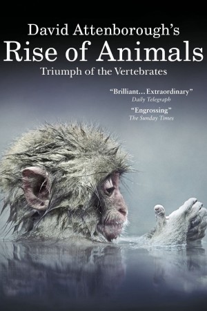 David Attenborough's Rise of Animals: Triumph of the Vertebrates David Attenborough's Rise of Animals: Triumph of the Vertebrates