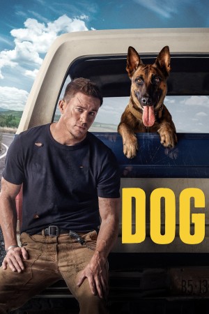 Dog Dog