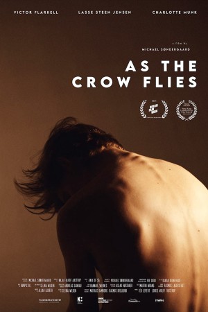 Đôi cánh tham vọng As the Crow Flies
