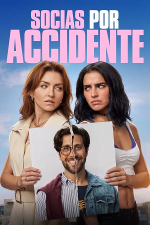 Đối tác tình cờ Accidental Partners