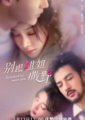 Đừng Nhờn Với Chị Destined to Meet You