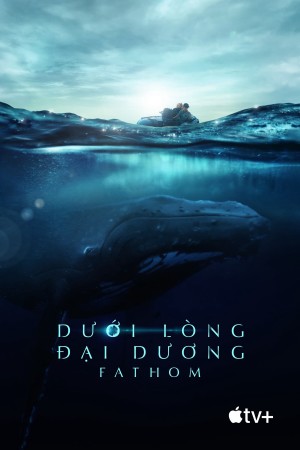 Dưới Lòng Đại Dương - Fathom Fathom