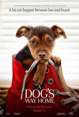 Đường Về Nhà Của Cún Con A Dog's Way Home