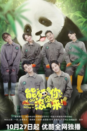Gấu Trúc Và Bạn, Lăn Đến Đây! Panda & You Rolling In