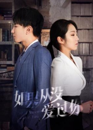 Giá Như Chưa Từng Yêu Anh If I Never Loved You
