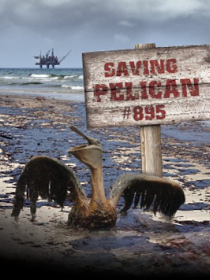 Giải Cứu Chú Bồ Nông Thứ 895 Saving Pelican 895