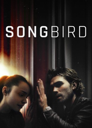 Giữa Tâm Dịch Songbird
